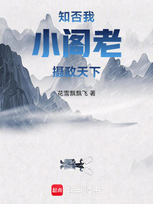 知否:我,小阁老,摄政天下